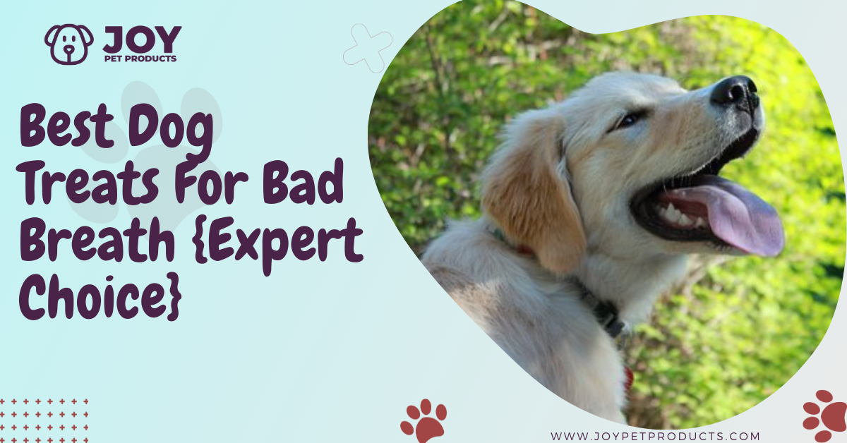 is pyridoxine hydrochloride bad for dogs
