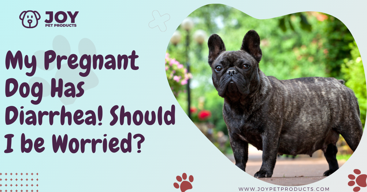 when should i deworm my pregnant dog