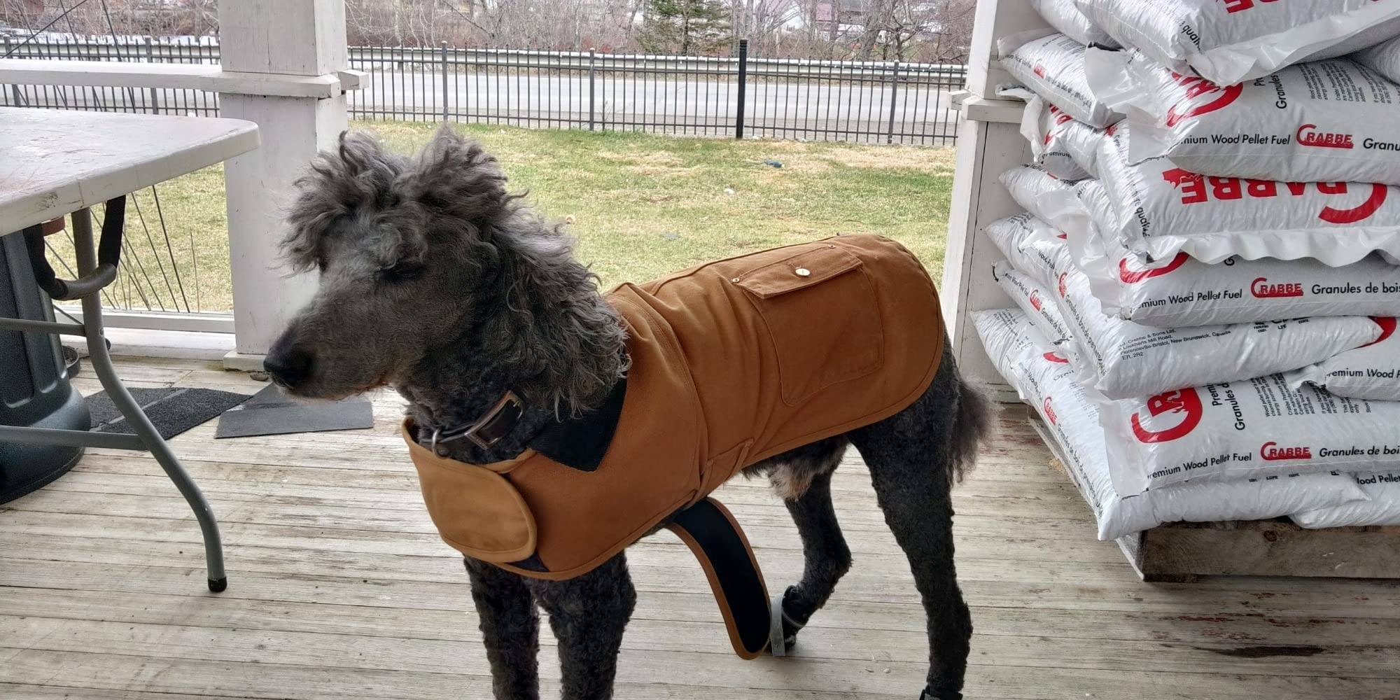 A picture is been clicked by my friend while he put on Carhartt Firm Duck Insulated Dog Chore Coat