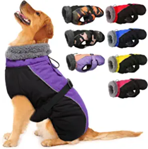 Best Overall: IECOii Pet Coat For Cold Weather
