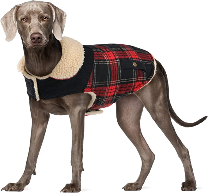 Best in Style: Preferhouse Winter Coat for Dog