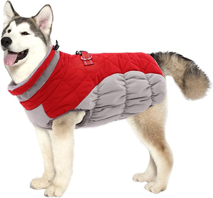 Best in Warmth: Lelepet Dog Winter Coat