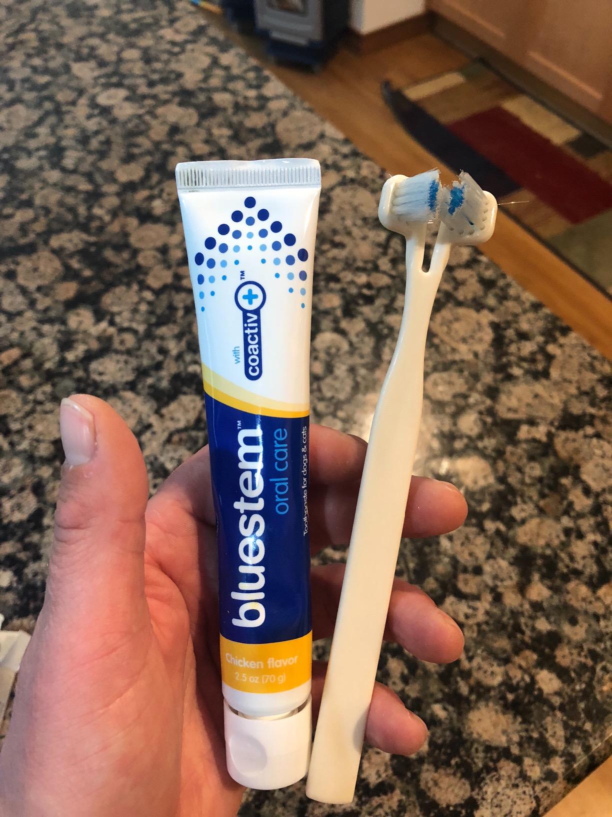 Bluestem Oral Care with Coactiv+ Technology Product Review