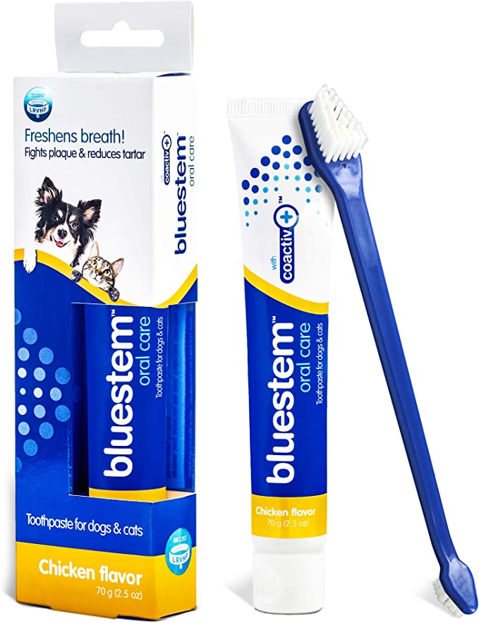 Bluestem Oral Care with Coactiv+ Technology