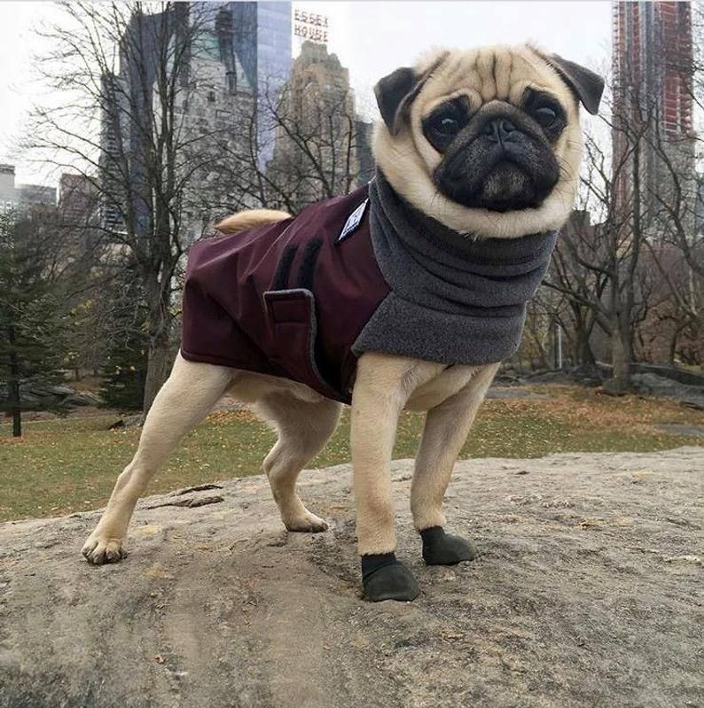 Fitwarm Reversible Winter Coat Review