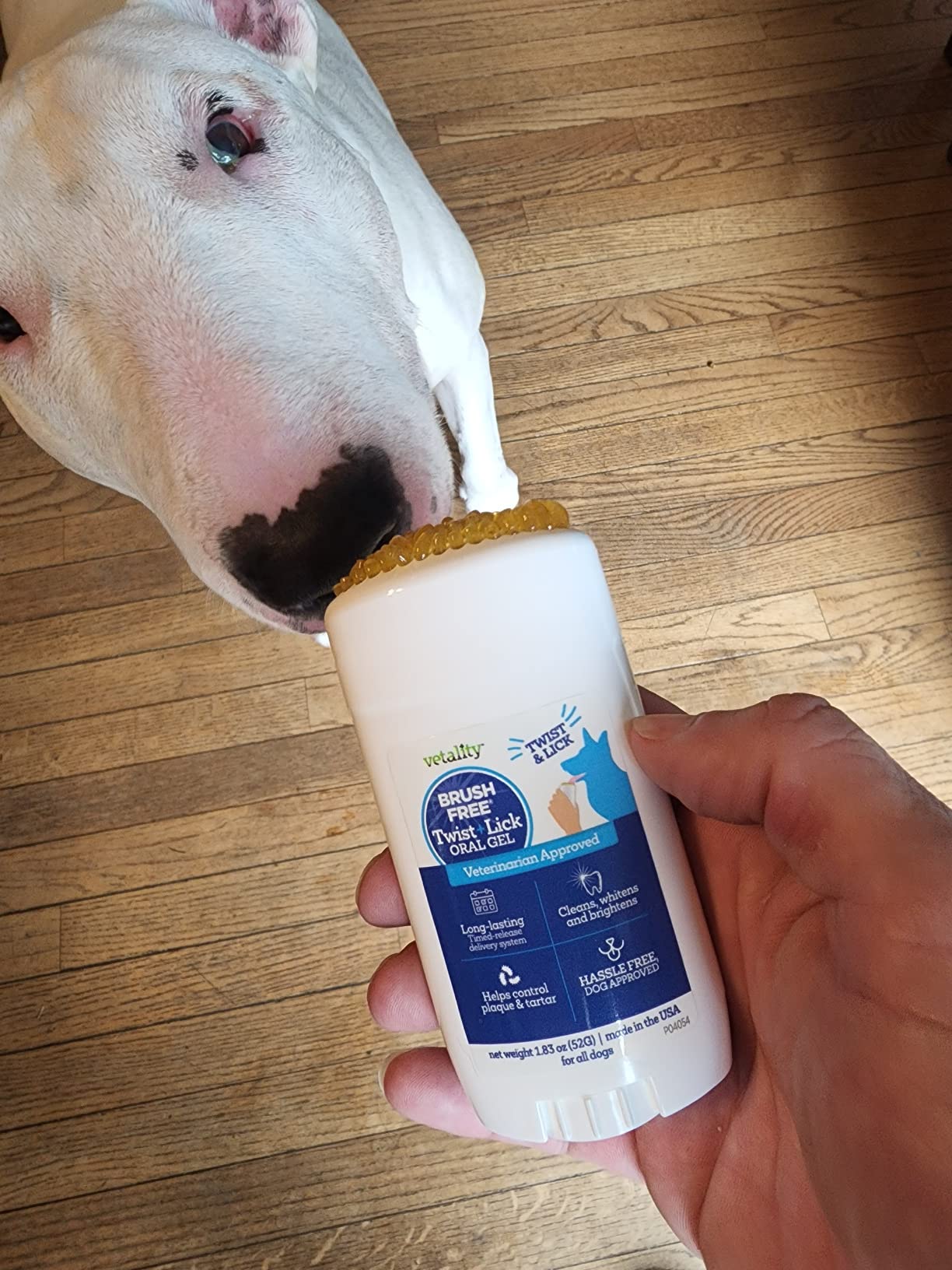 Vetality Brush Free Twist + Lick Oral Gel is my dog like this product