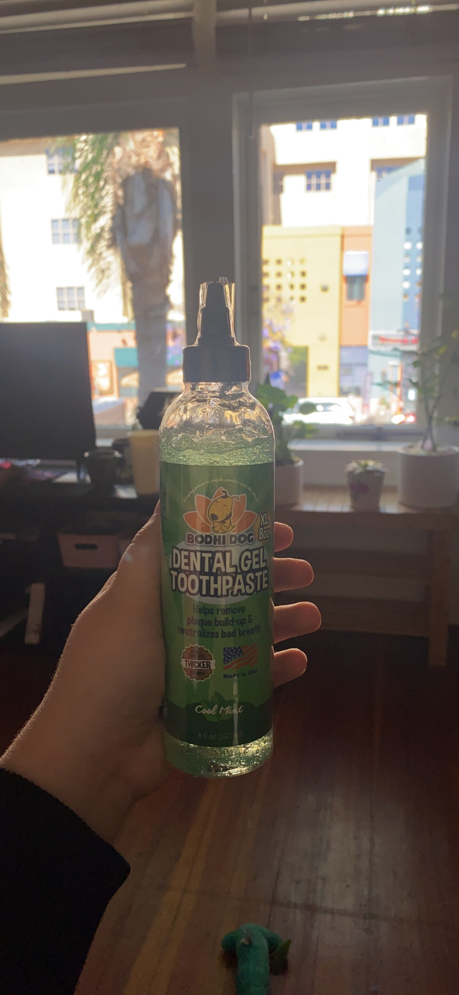 my friend clicked a picture after delivered this product  Bodhi Dog Dental Gel Toothpaste