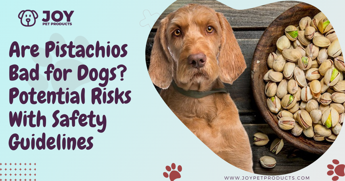 are pistachios bad for dogs