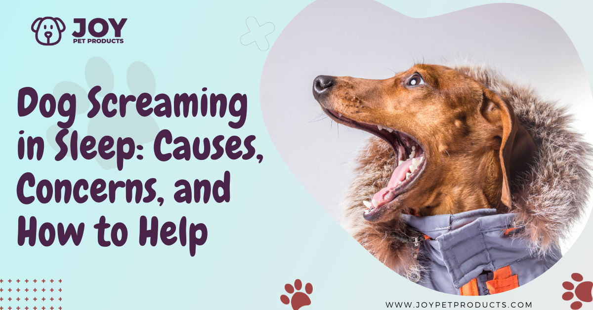 dog screaming in sleep