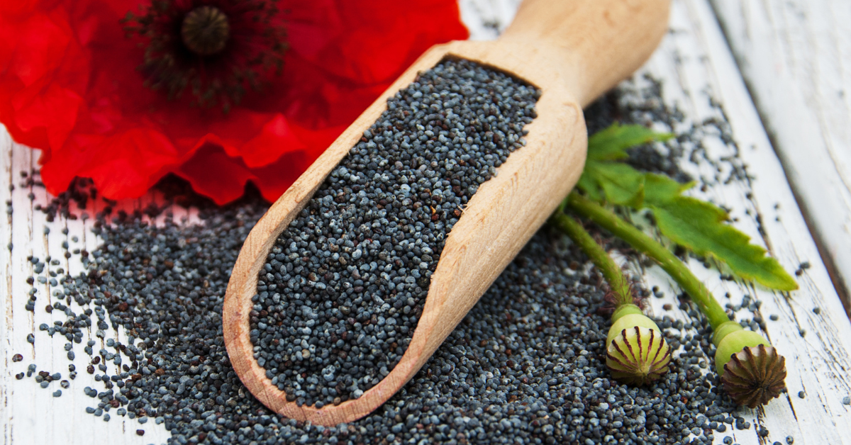 Risk of Poppy Seed Poisoning