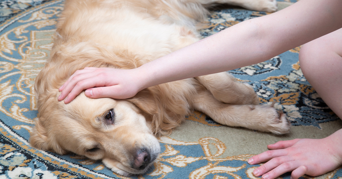 Underlying Medical Conditions