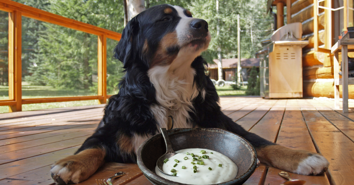 Understand the Situation