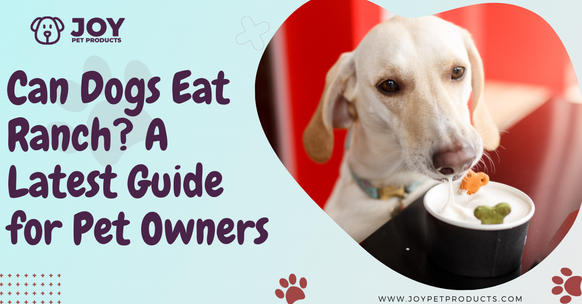 Can dogs eat ranch? Will it be bad for dogs? What to do if your dog ate ranch, and what are the alternatives for ranch dressing? Know all that you need to.