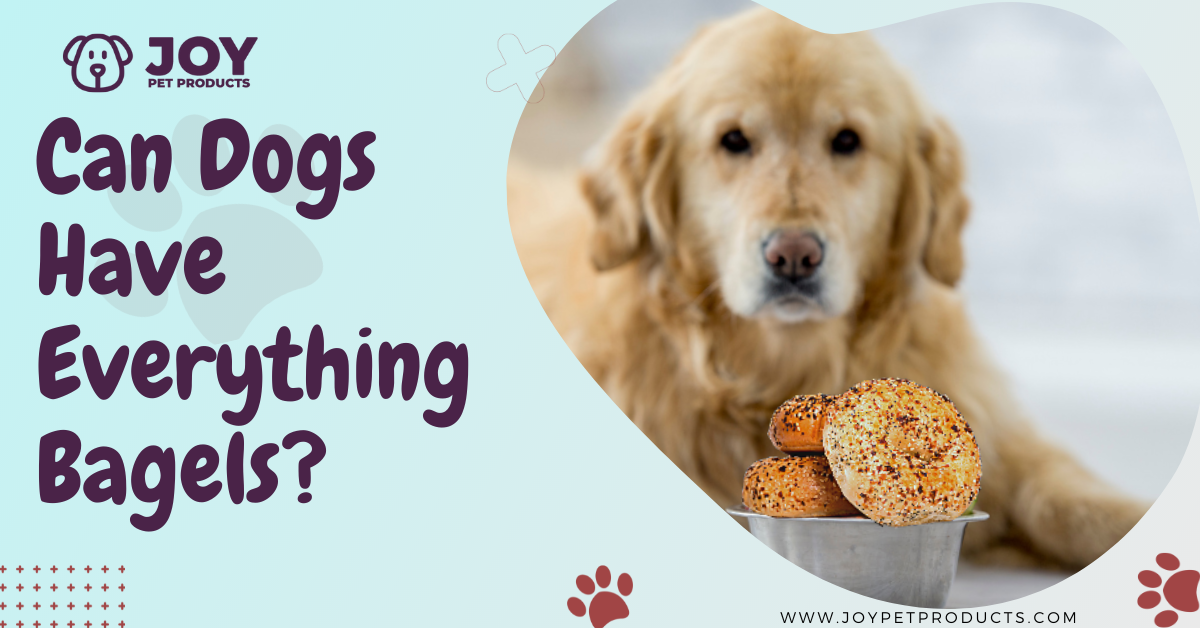 can dogs have everything bagels