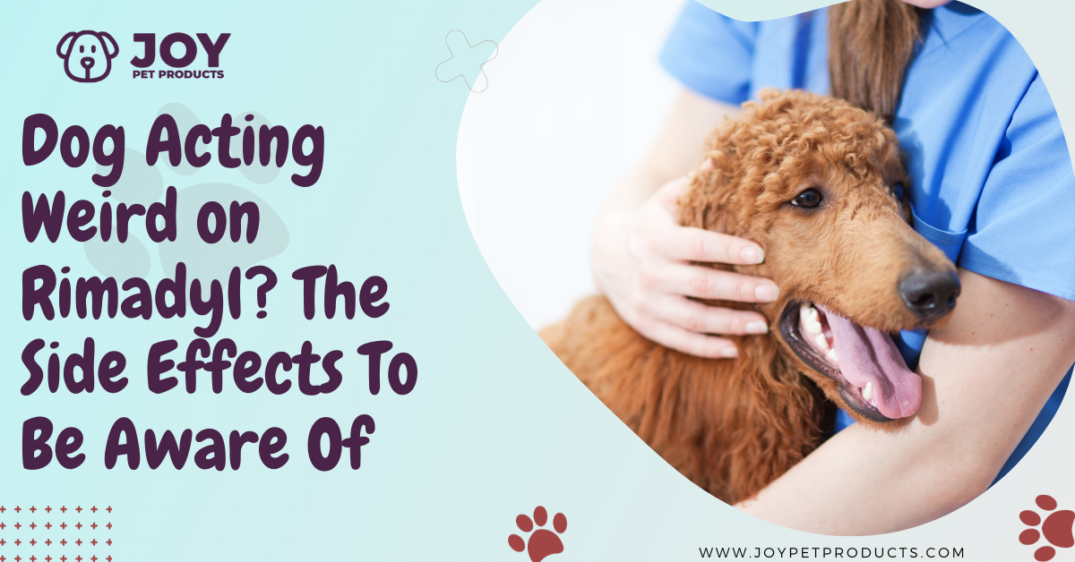 dog acting weird on rimadyl