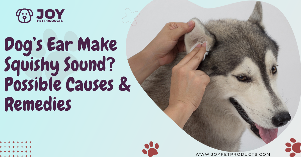 dogs ear makes squishy sound