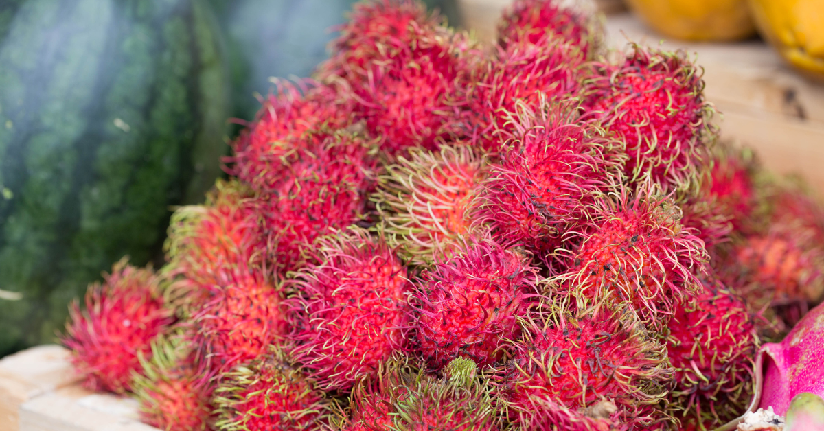 A Good Source of Fiber