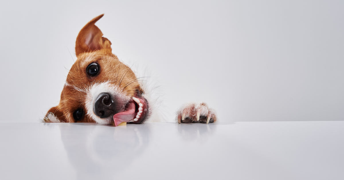 Are There Any Risks To Eating Fruit Snacks