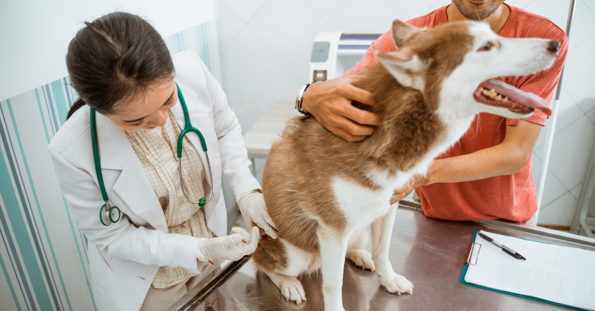 Give Medications If Necessary