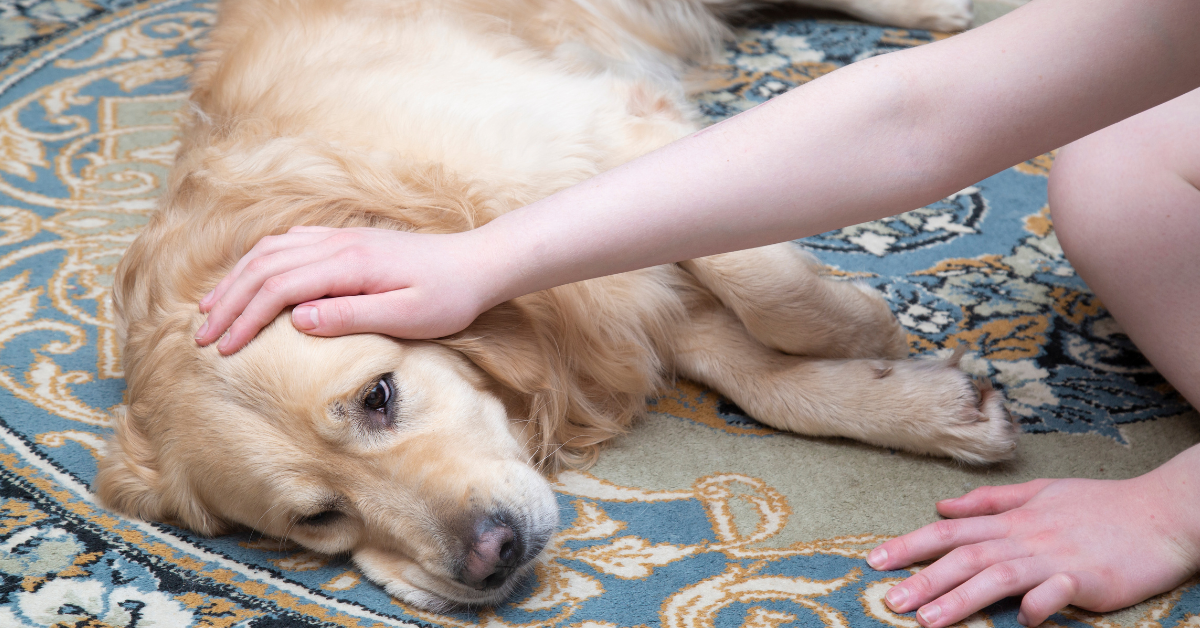 Prevention and Monitoring: