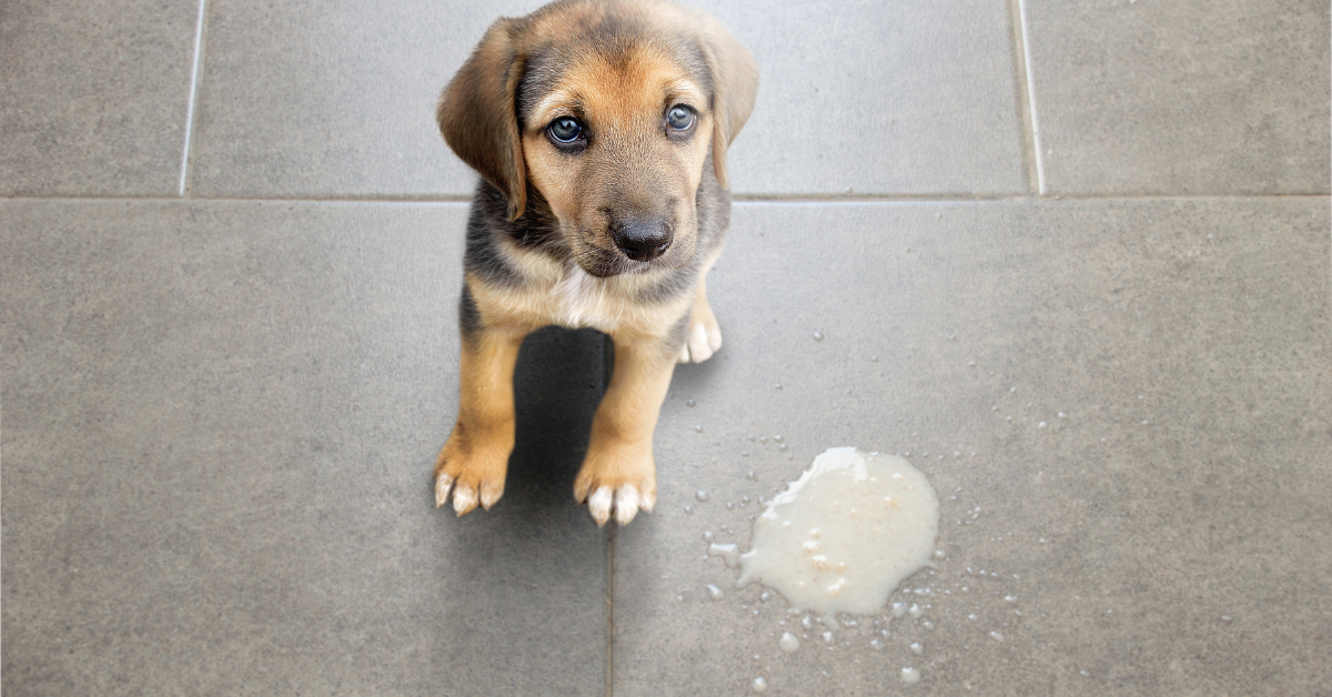 Test For Vomiting