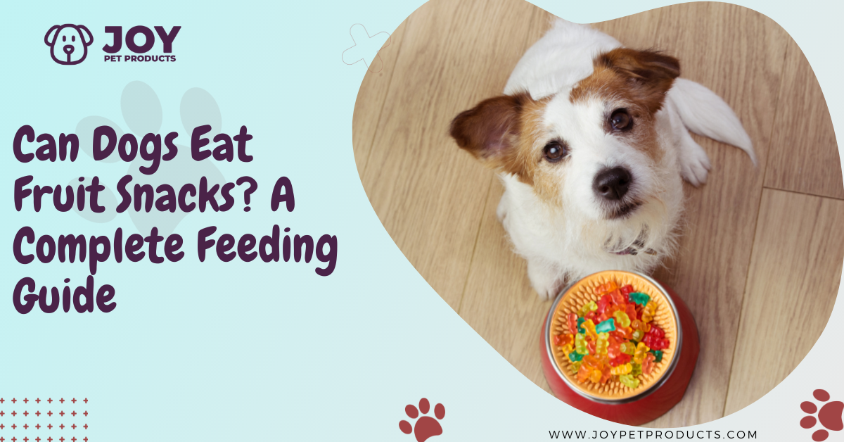 can dogs eat fruit snacks