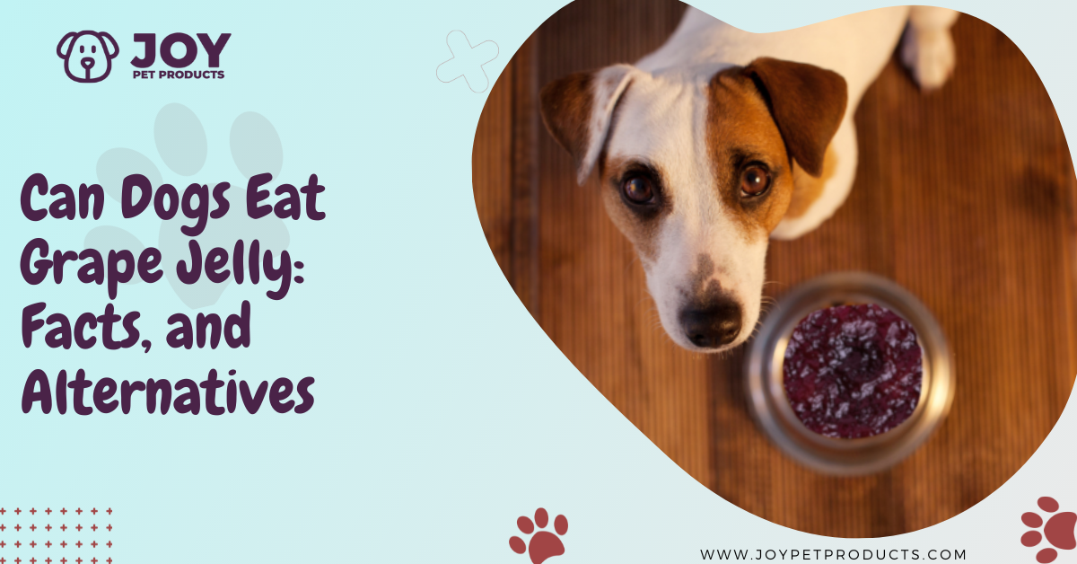 can dogs eat grape jelly