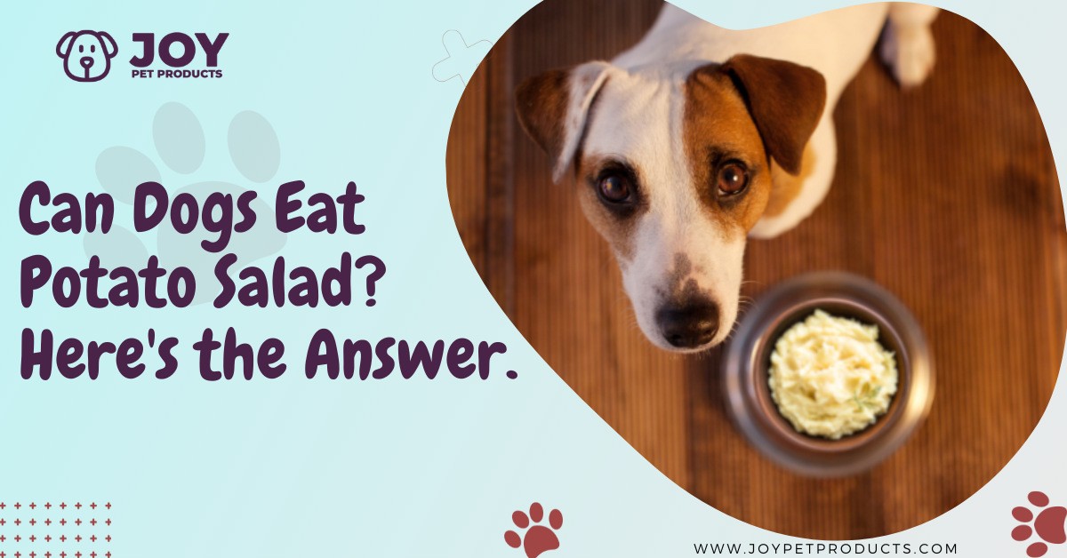 can dogs eat potato salad