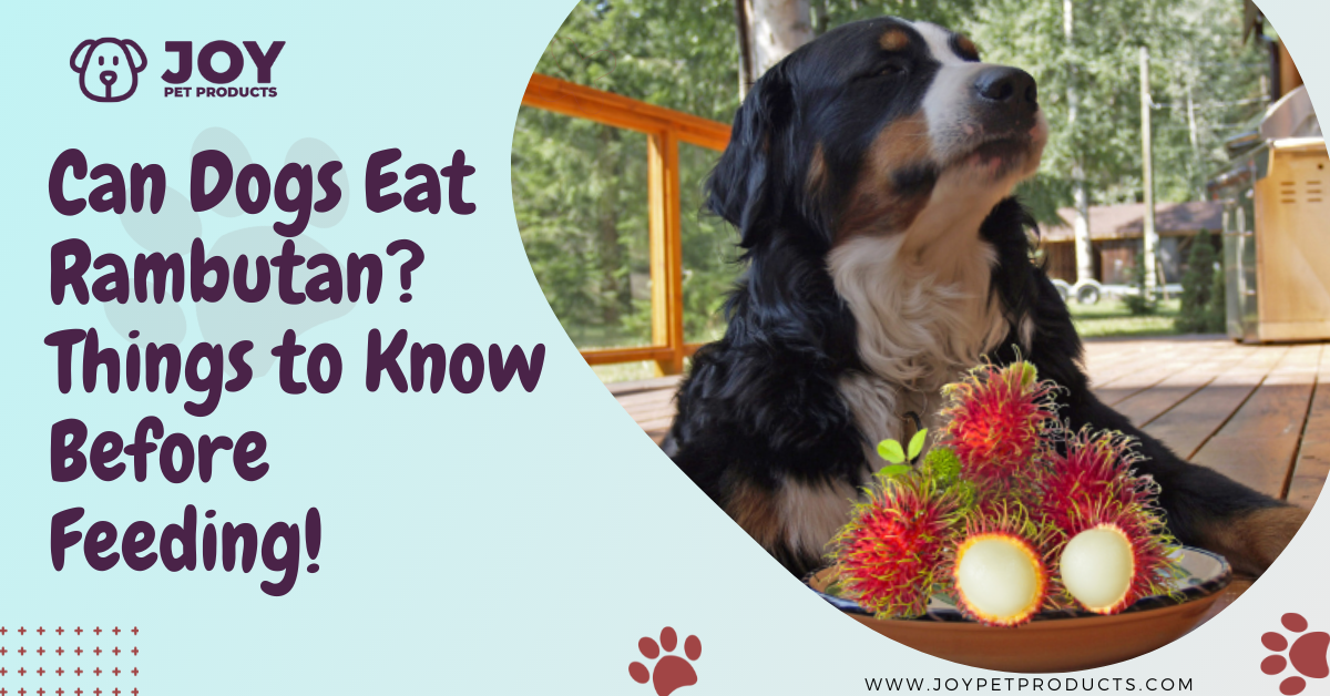 can dogs eat rambutan