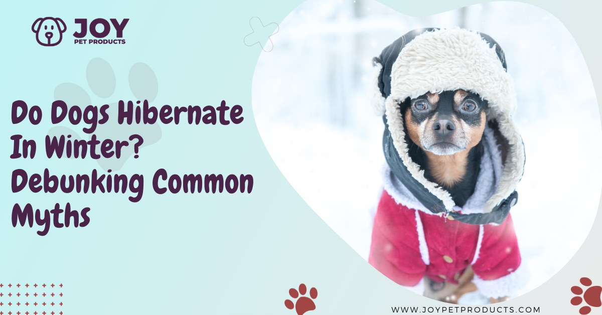 do dogs hibernate