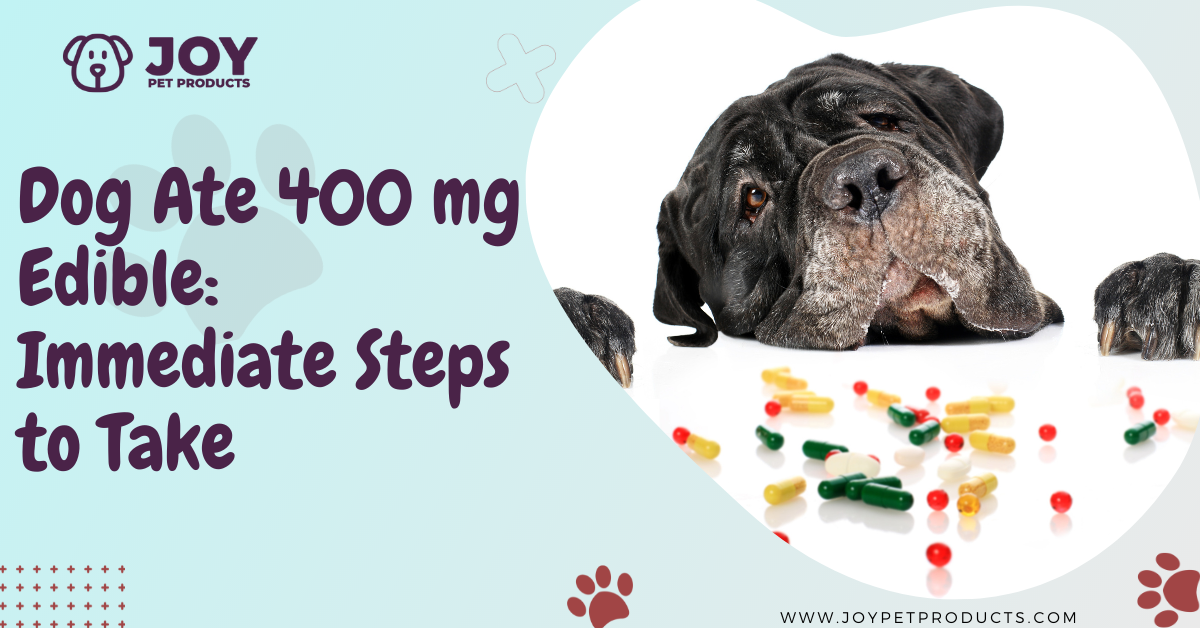 dog ate 400 mg edible