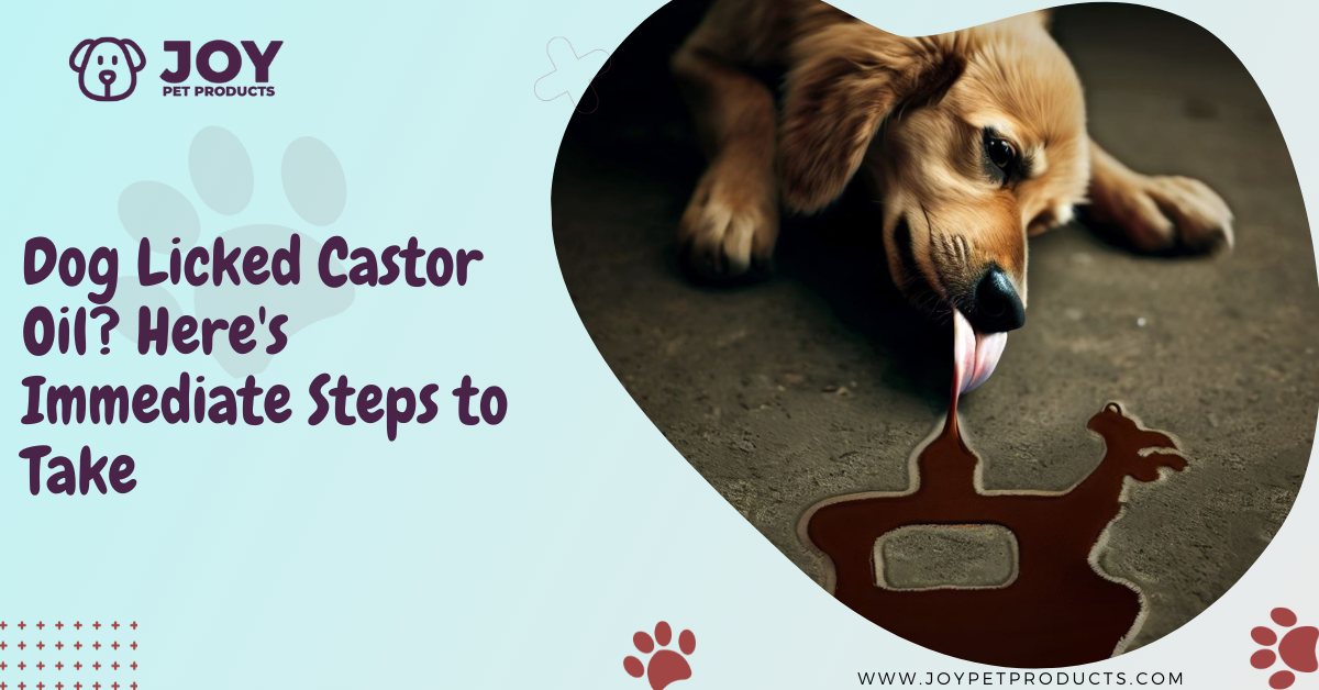 dog licked castor oil